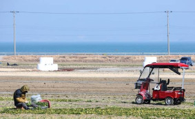 농어촌 기본소득 예산 2341억 확정…옥천·장수·곡성 추가는
