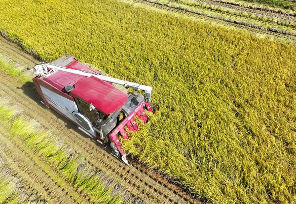 9715a482efcd9e682515ce0b785b787a_1763338431_8234.jpg 9715a482efcd9e682515ce0b785b787a_1763338431_8234.jpg